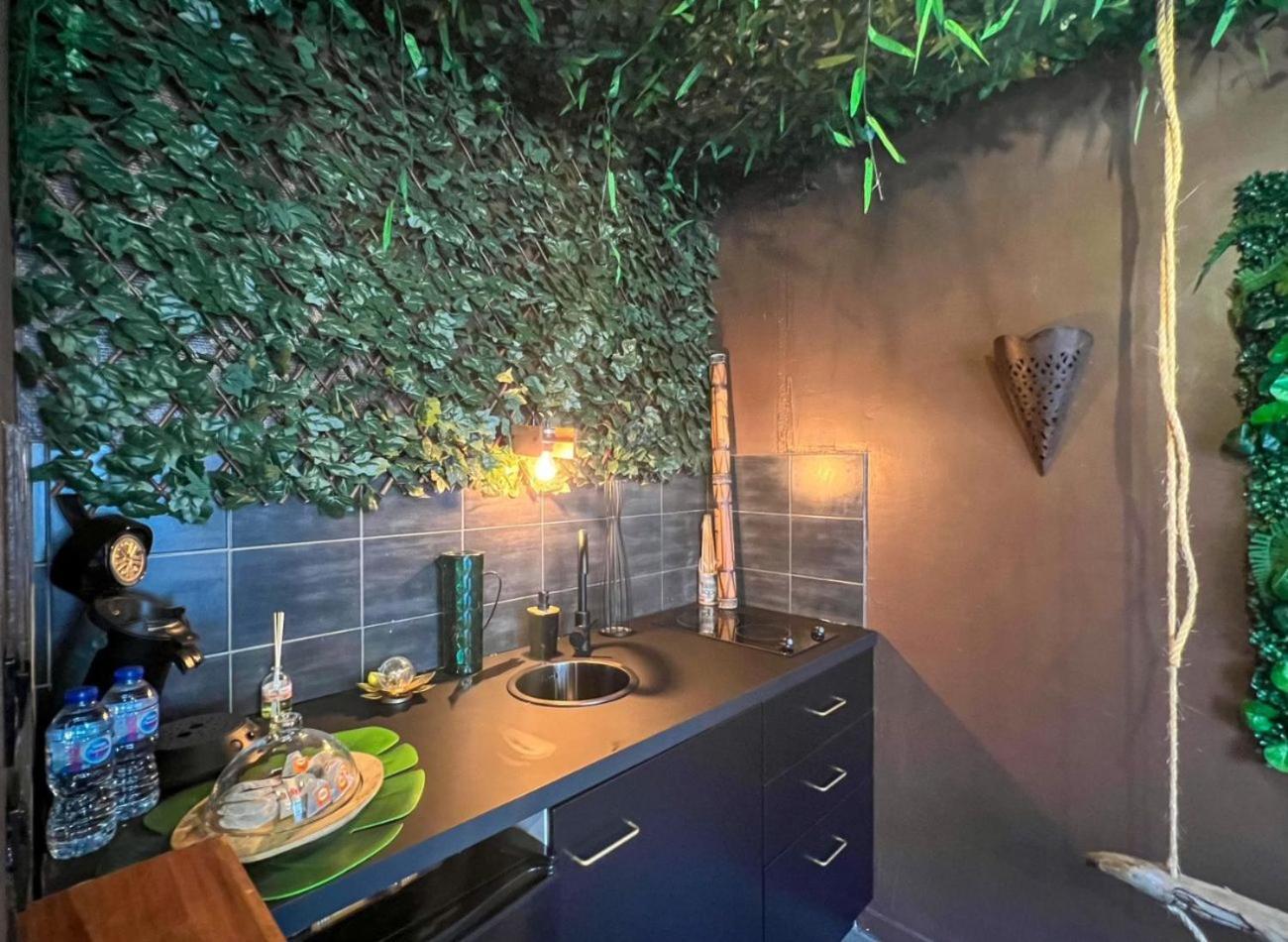 La Taniere De Mowgli - Du Mole Apartment Agde
